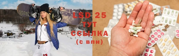 ГАЛЛЮЦИНОГЕННЫЕ ГРИБЫ Абаза