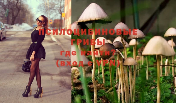 ГАЛЛЮЦИНОГЕННЫЕ ГРИБЫ Абаза