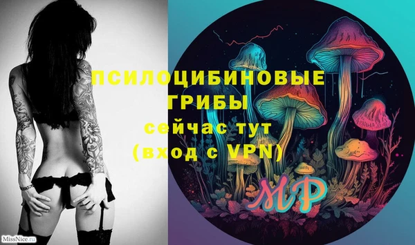 ГАЛЛЮЦИНОГЕННЫЕ ГРИБЫ Абдулино