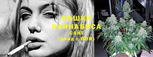 ГАЛЛЮЦИНОГЕННЫЕ ГРИБЫ Абаза
