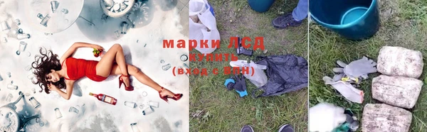 ГАЛЛЮЦИНОГЕННЫЕ ГРИБЫ Абаза