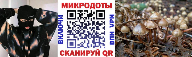 Галлюциногенные грибы мухоморы  ОМГ ОМГ ссылка  Златоуст  что такое наркотик 