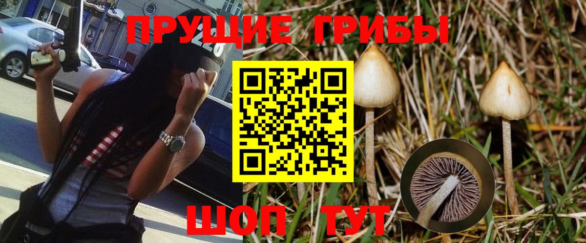 Псилоцибиновые грибы Psilocybine cubensis  Вход с VPN  Златоуст 