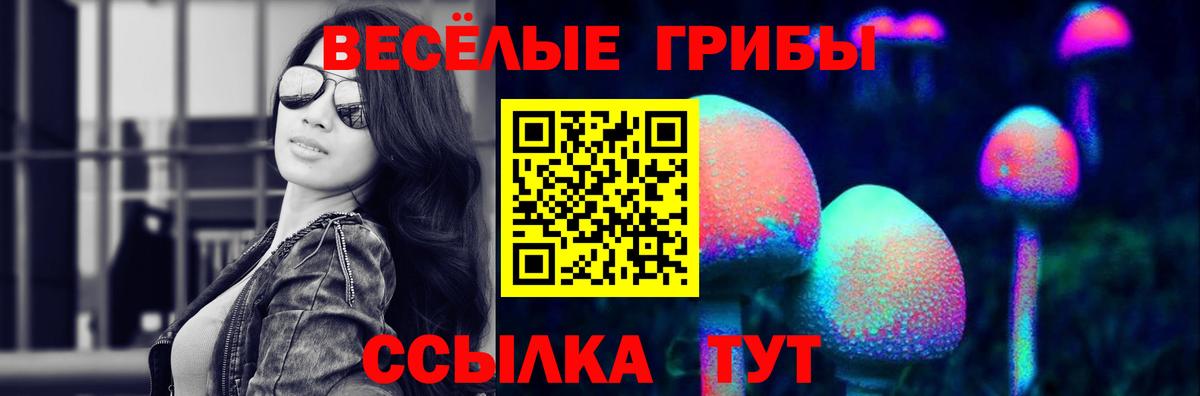 Псилоцибиновые грибы Magic Shrooms Златоуст